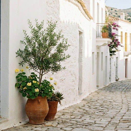 Calle Calle mediterránea luminosa con arquitectura blanca y detalles naturales